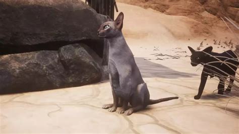 conan exiles stray cat